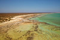 AUS - Shark Bay d0418_DxO